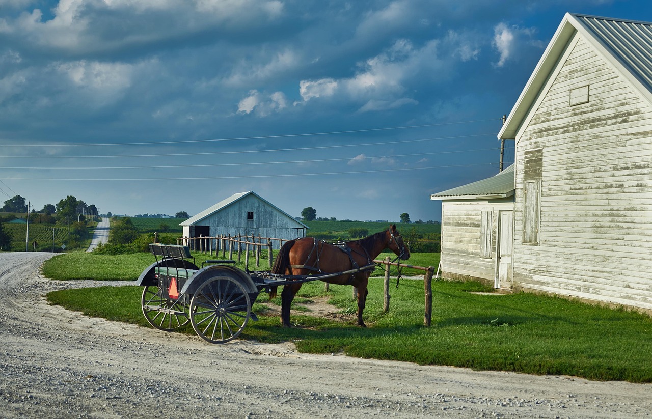 Amish horse and buggy on a country road